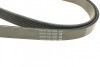Ремень генератора поликлиновый DAYCO 6PK2195 (фото 3)