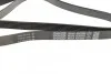 Ремень генератора поликлиновый DAYCO 6PK2203 (фото 2)