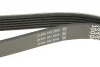 Ремень поликлиновый(приводной) DAYCO 6PK2220K (фото 3)