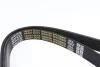 Ремень генератора поликлиновый DAYCO 6PK2225HD (фото 2)