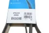 Ремень генератора поликлиновый DAYCO 6PK2255 (фото 6)