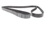 Ремень DAYCO 6PK2280 (фото 3)