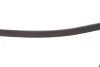 Ремень поликлиновый(приводной) Dayco DAYCO 6PK2290 (фото 3)