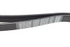 Ремень генератора поликлиновый DAYCO 6PK2404 (фото 3)