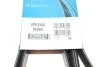 Ремень генератора поликлиновый DAYCO 6PK2440 (фото 6)