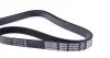 Ремень поликлиновый(приводной) DAYCO 6PK2504 (фото 2)