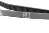 Ремень генератора поликлиновый DAYCO 6PK2605 (фото 3)