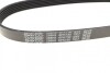 Ремень генератора поликлиновый DAYCO 6PK730 (фото 3)