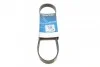 Ремень поликлиновый(приводной) DAYCO 6PK799EE (фото 1)