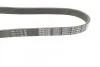 Ремень поликлиновый(приводной) DAYCO 6PK799EE (фото 2)