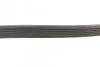 Ремень поликлиновый(приводной) DAYCO 6PK799EE (фото 3)