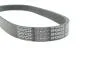 Ремень поликлиновый(приводной) DAYCO 6PK803EE (фото 4)