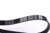 Ремень генератора поликлиновый DAYCO 6PK810 (фото 2)