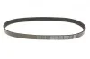Ремень поликлиновый(приводной) DAYCO 6PK820 (фото 2)