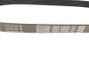 Ремень генератора поликлиновый DAYCO 6PK853 (фото 2)