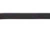 Ремень поликлиновый(приводной) DAYCO 6PK875 (фото 3)