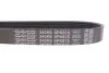 Ремень поликлиновый(приводной) DAYCO 6PK875 (фото 4)
