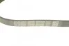 Ремень генератора поликлиновый DAYCO 6PK900 (фото 3)