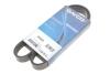 Ремень поликлиновый(приводной) DAYCO 6PK962S (фото 2)