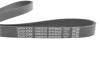 Ремень поликлиновый(приводной) DAYCO 6PK962S (фото 3)