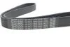 Ремень поликлиновый(приводной) DAYCO 7PK1045 (фото 4)