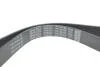 Ремень поликлиновый(приводной) DAYCO 7PK1051EE (фото 4)