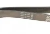 Ремень генератора поликлиновый DAYCO 7PK1085S (фото 3)