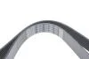 Ремень поликлиновый(приводной) Dayco DAYCO 7PK1095 (фото 4)