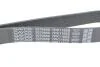 Ремень поликлиновый(приводной) DAYCO 7PK1165S (фото 4)
