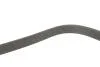 Ремень поликлиновый(приводной) DAYCO 7PK1270S (фото 4)