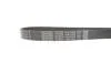 Ремень поликлиновый(приводной) DAYCO 7PK1334S (фото 3)