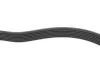 Ремень поликлиновый(приводной) DAYCO 7PK1550 (фото 3)