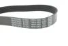 Ремень поликлиновый(приводной) DAYCO 7PK1550 (фото 4)