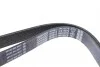 Ремень поликлиновый(приводной) DAYCO 7PK1557S (фото 2)