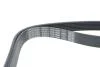 Ремень поликлиновый(приводной) DAYCO 7PK1580 (фото 4)