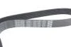 Ремень поликлиновый(приводной) DAYCO 7PK1784 (фото 3)
