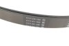 Ремень генератора поликлиновый DAYCO 7PK2711S (фото 3)