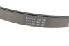 Ремень генератора поликлиновый DAYCO 7PK2711S (фото 3)