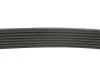 Ремень поликлиновый(приводной) Dayco DAYCO 7PK2872 (фото 3)
