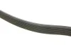 Ремень генератора поликлиновый DAYCO 8PK1300HD (фото 3)