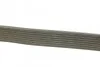 Ремень генератора поликлиновый DAYCO 8PK1420HD (фото 2)