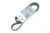 Ремень поликлиновый(приводной) DAYCO 8PK1795HD (фото 2)