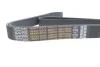 Ремень поликлиновый(приводной) DAYCO 8PK1795HD (фото 4)