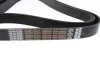 Ремень поликлиновый DAYCO 8PK1920HD (фото 2)