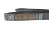 Ремень поликлиновый(приводной) DAYCO 8PK2085HD (фото 4)