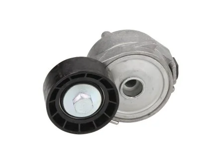 Натяжитель ремня CITROEN/PEUGEOT Berlingo/C4/206/307/Partner "1,1/1,6L "98>> DAYCO APV2556