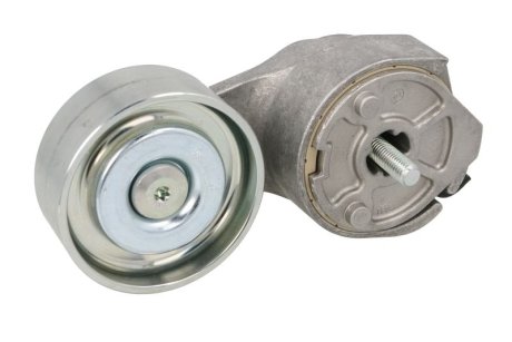 Натяжитель приводного ремня DAYCO APV2731