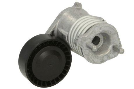 Натяжитель ремня генератора DAYCO APV3019