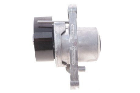 Натяжитель ремня генератора DAYCO APV3861