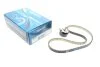 Комплект ГРМ FORD B-Max/C-Max/Fiesta/Focus/Mondeo/Tourneo/Transit "1,0-1,1 "12>> DAYCO KBIO02 (фото 1)